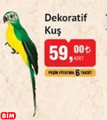 DEKORATİF KUŞ DEKORATİF KUŞ